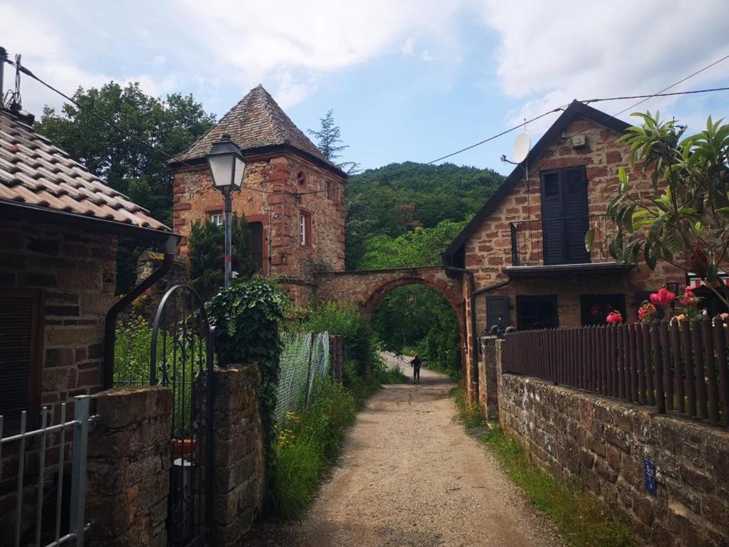 Wohnen Im Herzen Der Pfalz Neustadt an der Weinstrasse Ngoại thất bức ảnh
