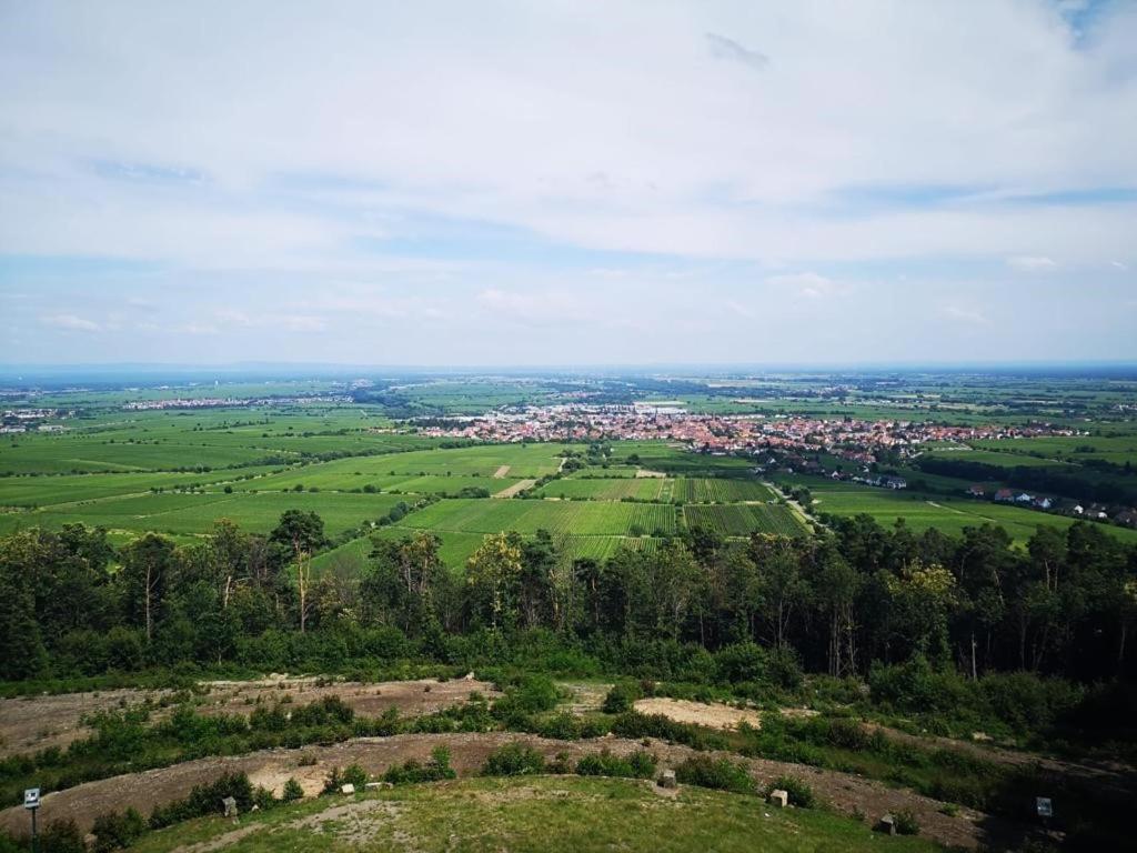 Wohnen Im Herzen Der Pfalz Neustadt an der Weinstrasse Ngoại thất bức ảnh